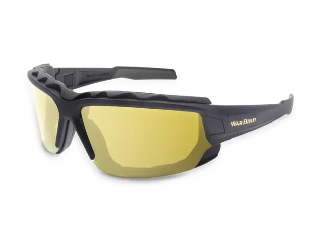 Warbird "War Horse" Hybrid Eye Protection