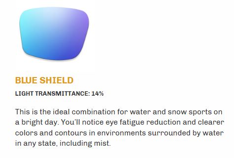 Warbird "Sleeper Cell" Eye Protection